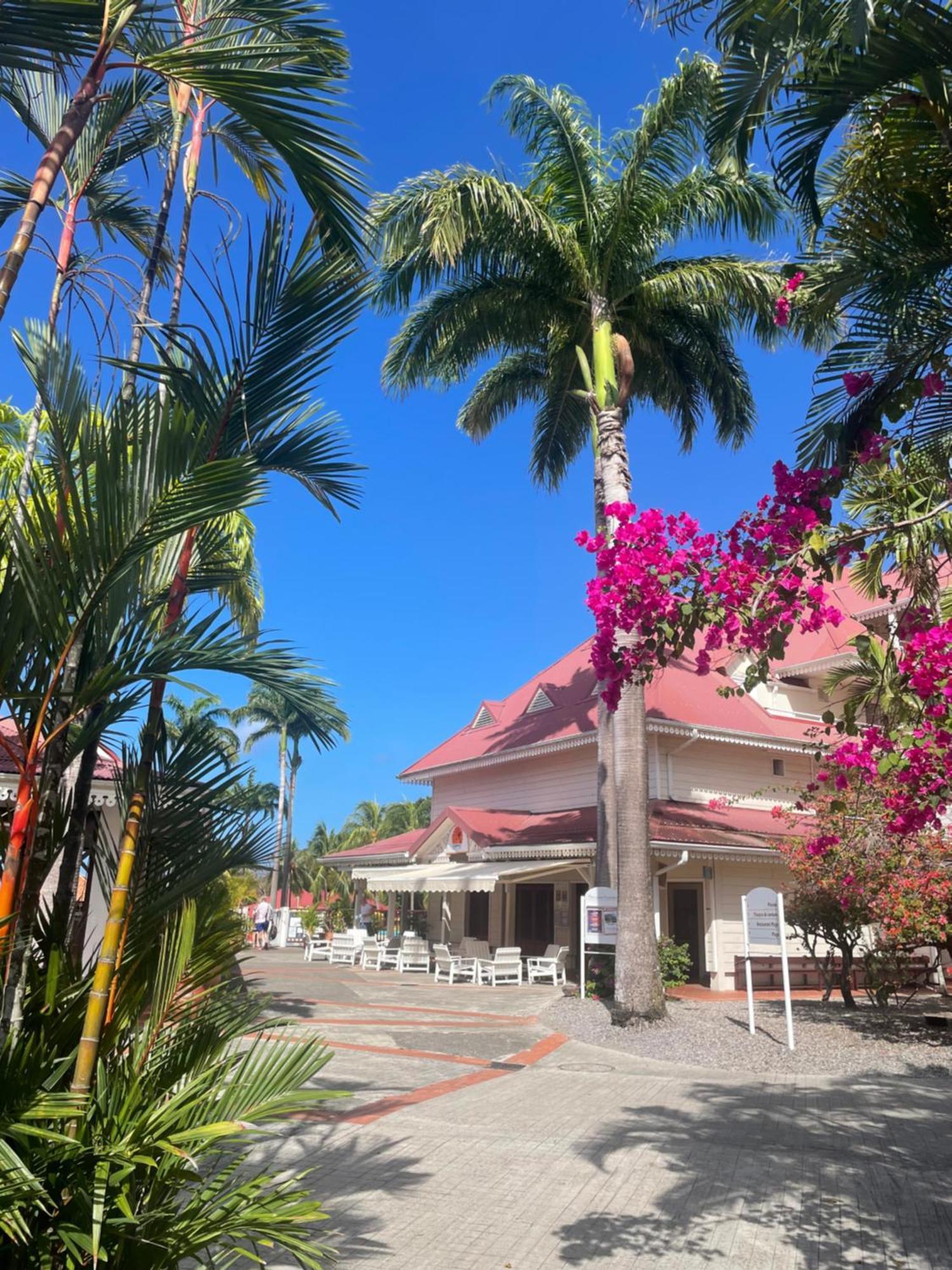 Cocobeach Martinique PIERRE et VACANCES Sainte-Luce Extérieur photo