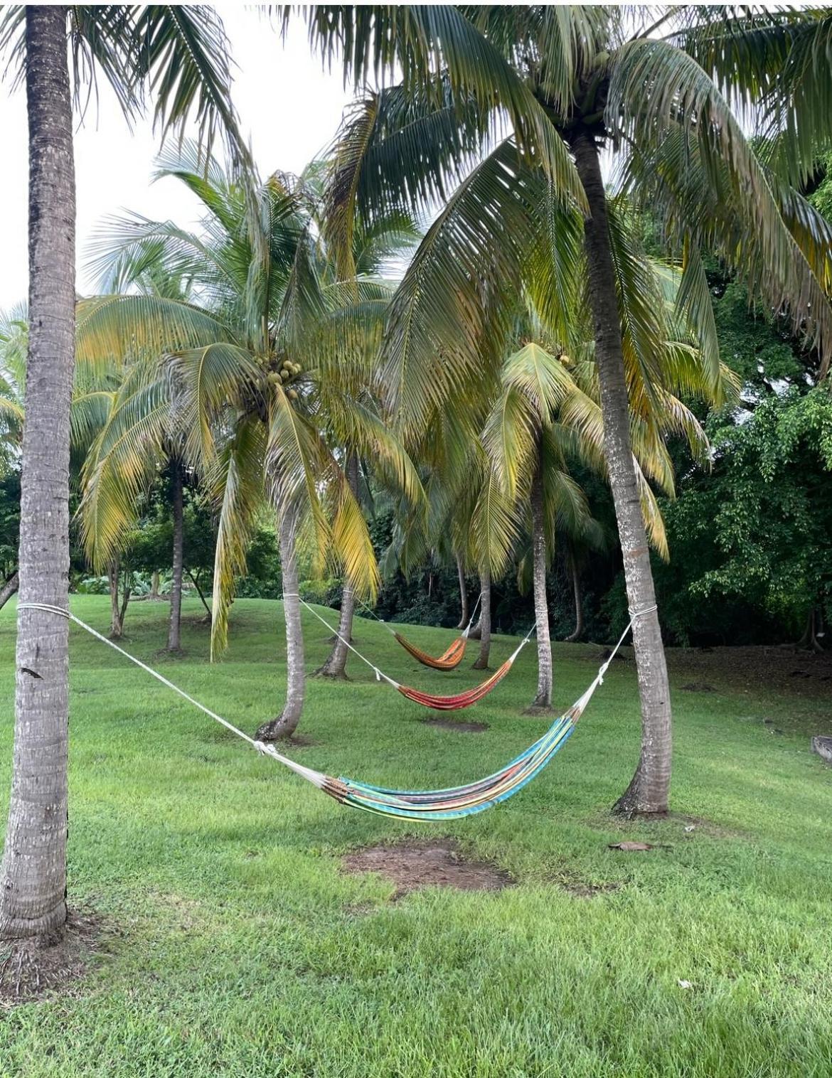 Cocobeach Martinique PIERRE et VACANCES Sainte-Luce Extérieur photo