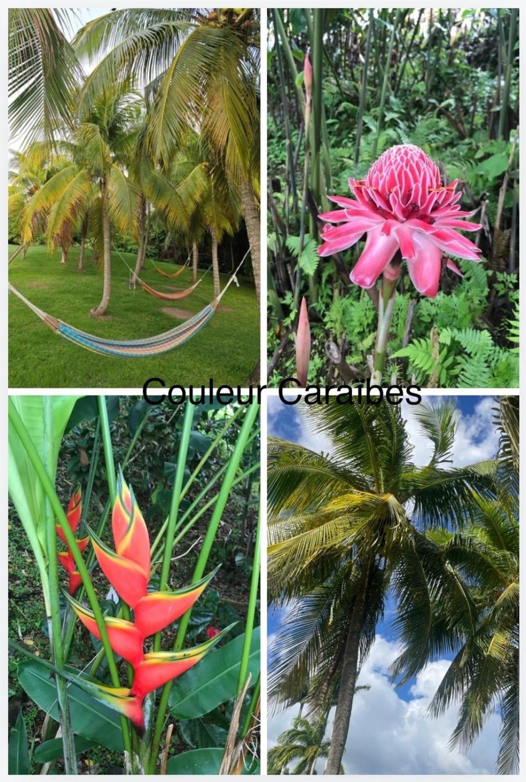 Cocobeach Martinique PIERRE et VACANCES Sainte-Luce Extérieur photo