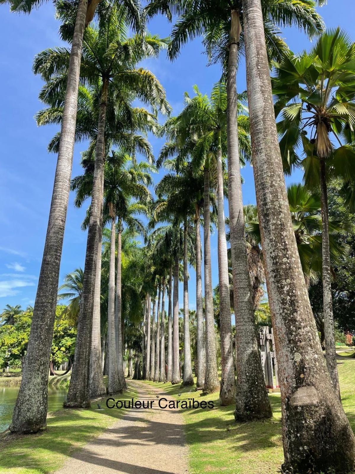 Cocobeach Martinique PIERRE et VACANCES Sainte-Luce Extérieur photo