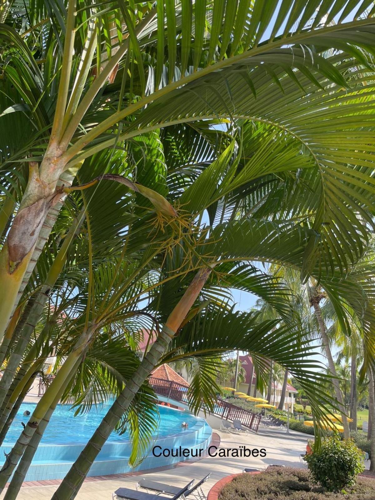 Cocobeach Martinique PIERRE et VACANCES Sainte-Luce Extérieur photo